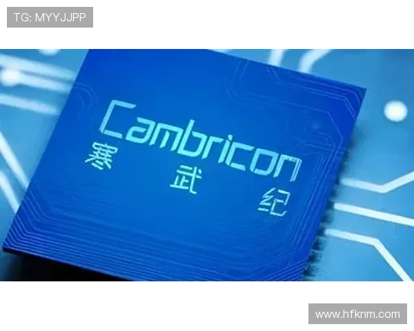 恩佐是否被低估?战术价值与实际表现差距分析 恩佐是否被低估?战术价值与实际表现差距分析